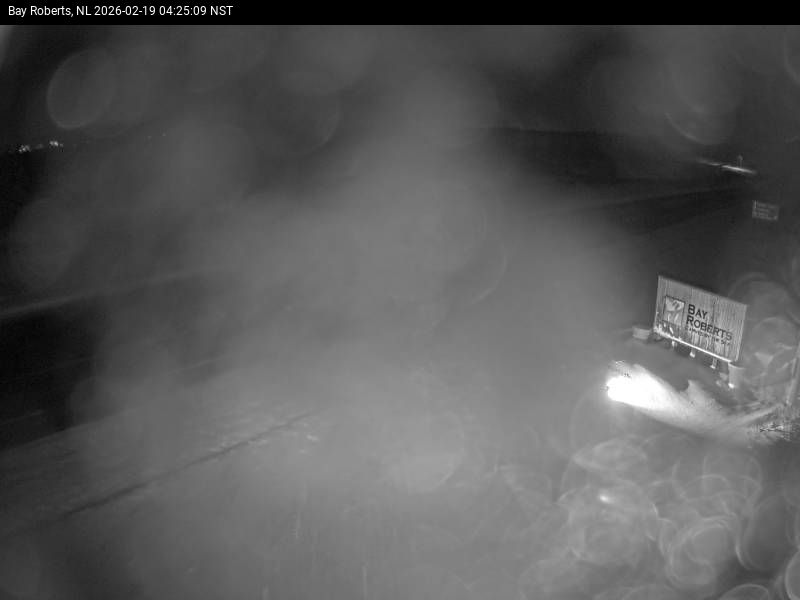 Bay Roberts Live Camera Image