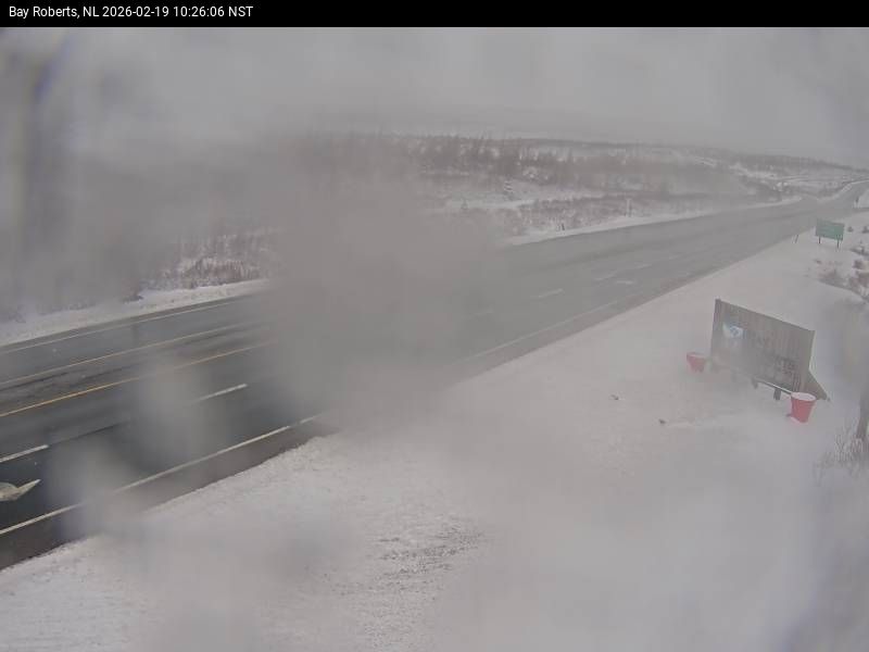Bay Roberts Live Camera Image
