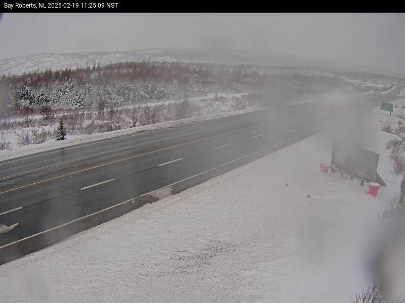 Bay Roberts Live Camera Image