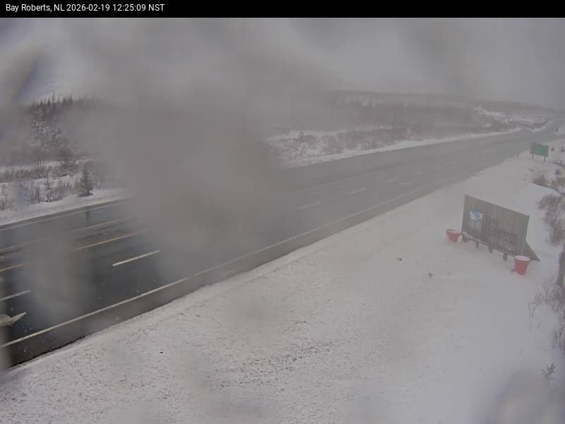 Bay Roberts Live Camera Image