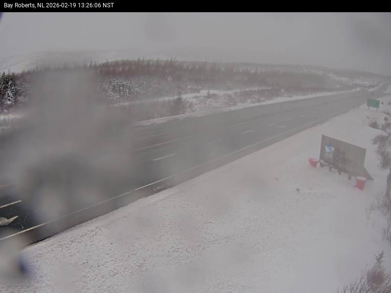 Bay Roberts Live Camera Image