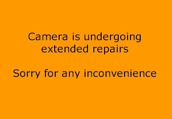 Birchy Narrows Live Camera Image