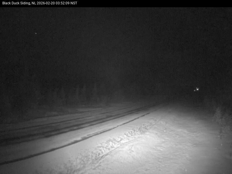 Black Duck Siding Live Camera Image