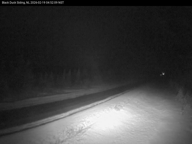 Black Duck Siding Live Camera Image
