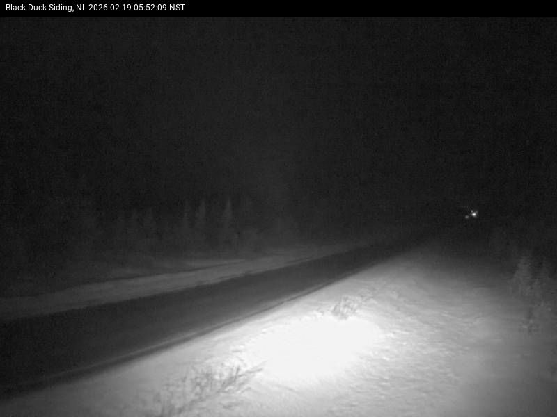 Black Duck Siding Live Camera Image
