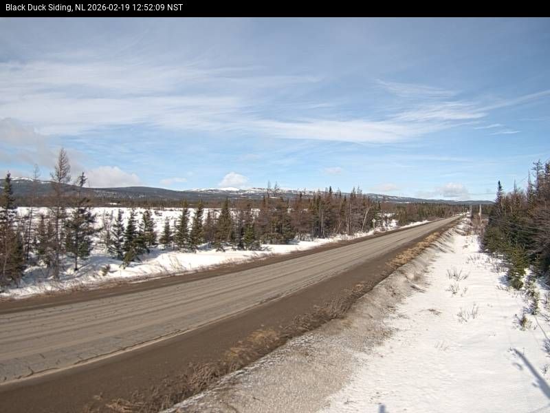 Black Duck Siding Live Camera Image