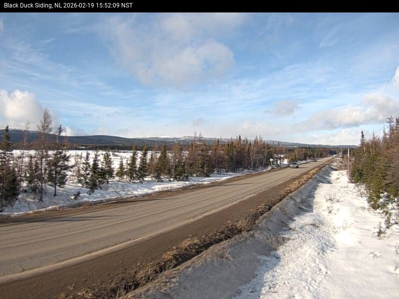 Black Duck Siding Live Camera Image