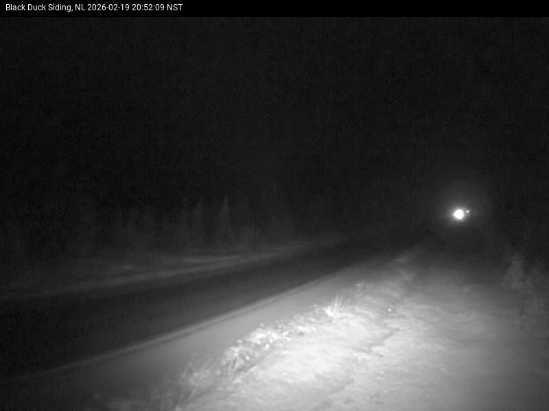 Black Duck Siding Live Camera Image