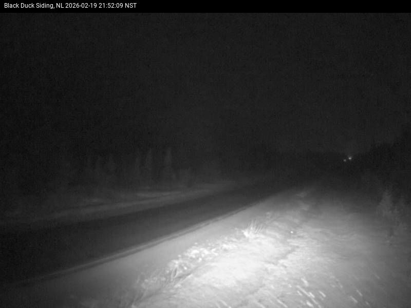Black Duck Siding Live Camera Image
