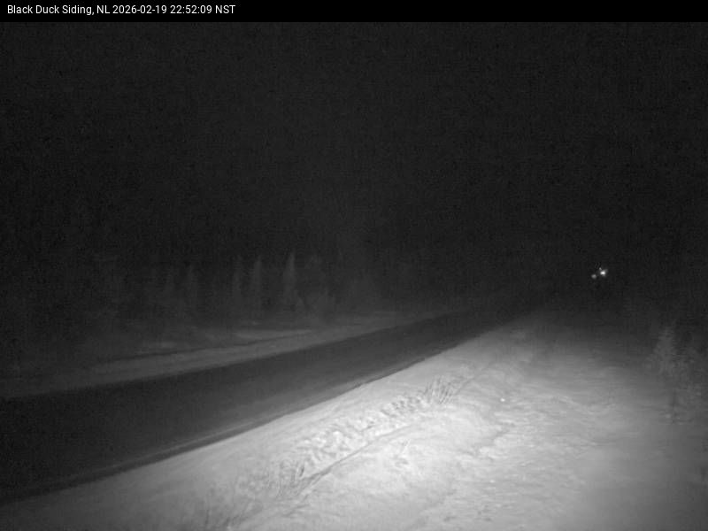 Black Duck Siding Live Camera Image