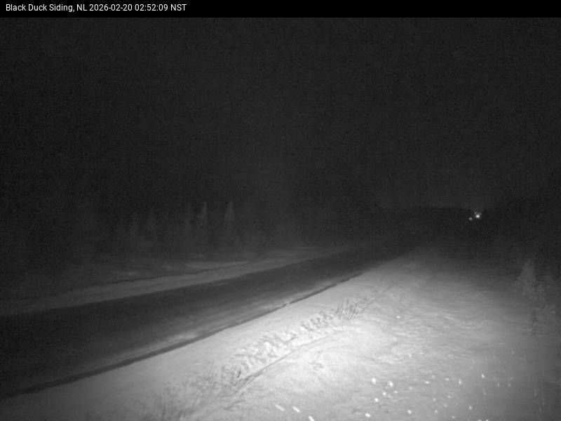 Black Duck Siding Live Camera Image