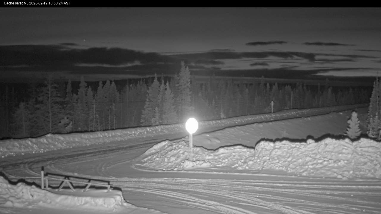 Cache River Live Camera Image