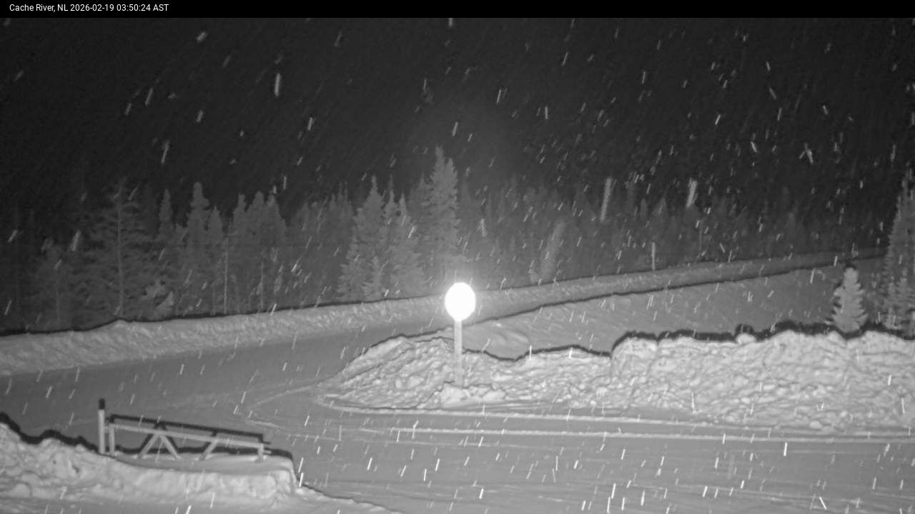 Cache River Live Camera Image