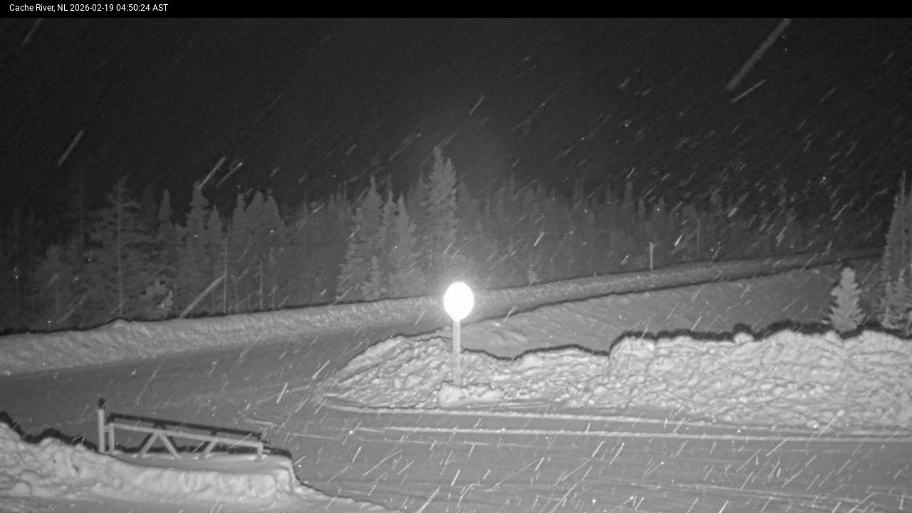 Cache River Live Camera Image