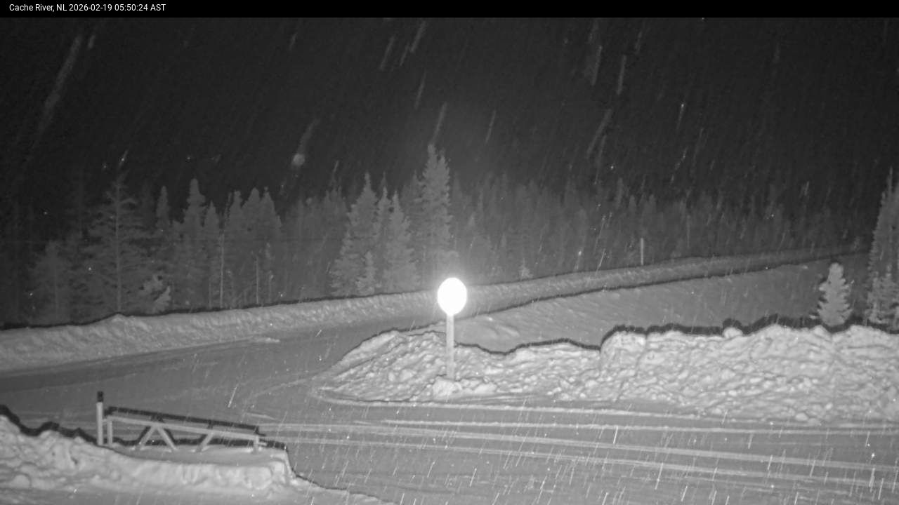 Cache River Live Camera Image