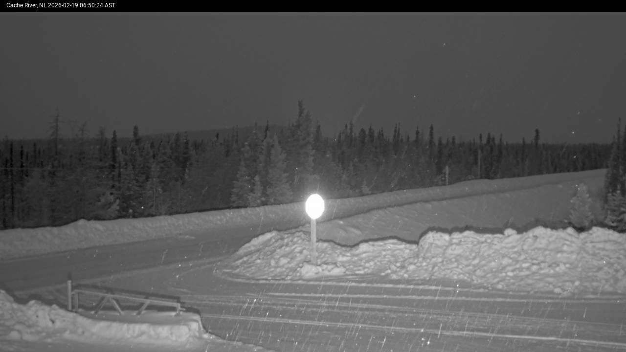 Cache River Live Camera Image