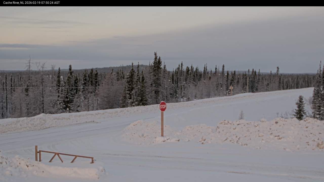 Cache River Live Camera Image