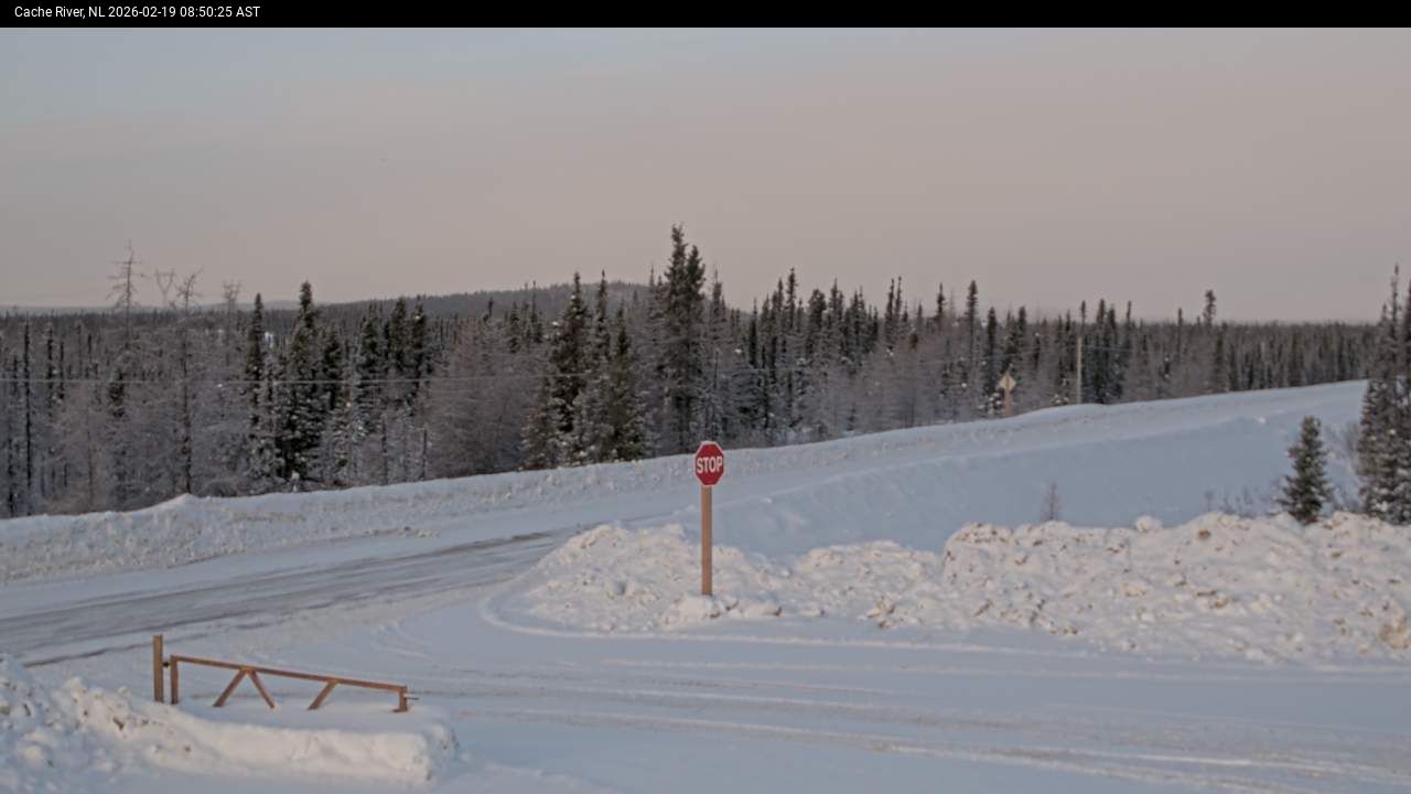 Cache River Live Camera Image