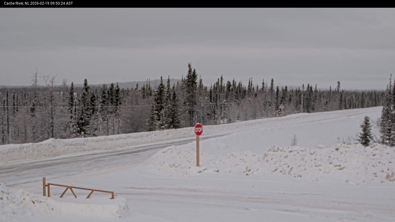 Cache River Live Camera Image