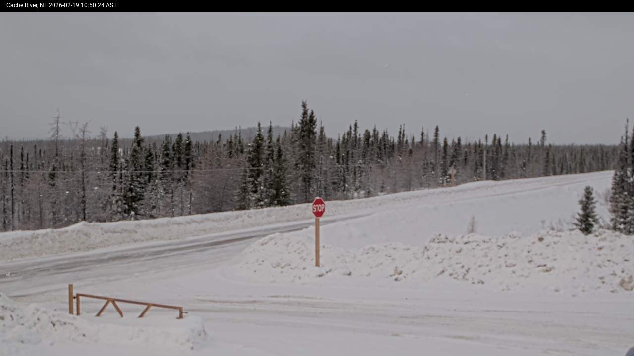 Cache River Live Camera Image