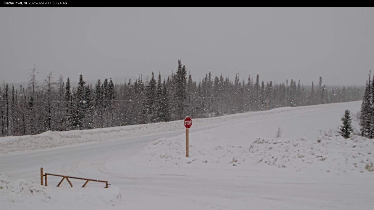 Cache River Live Camera Image