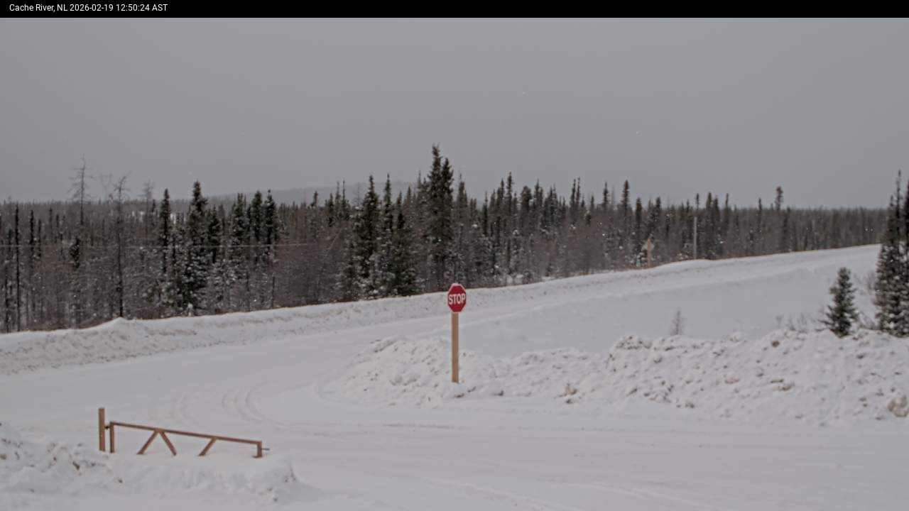 Cache River Live Camera Image