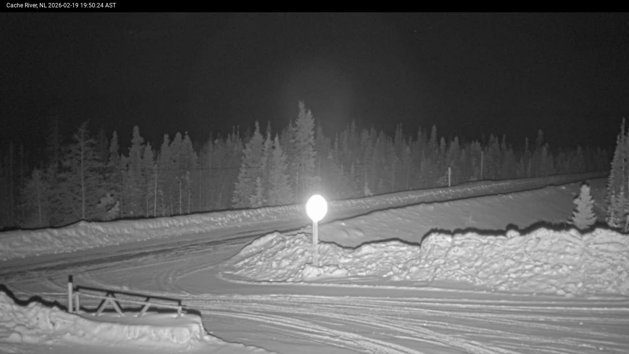 Cache River Live Camera Image