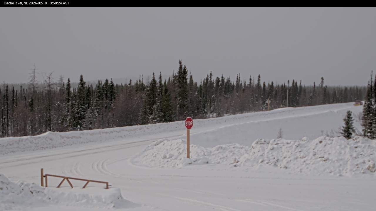 Cache River Live Camera Image