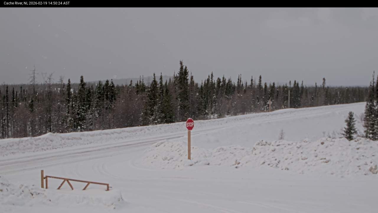 Cache River Live Camera Image