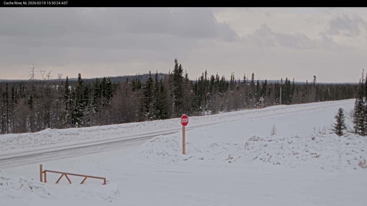 Cache River Live Camera Image