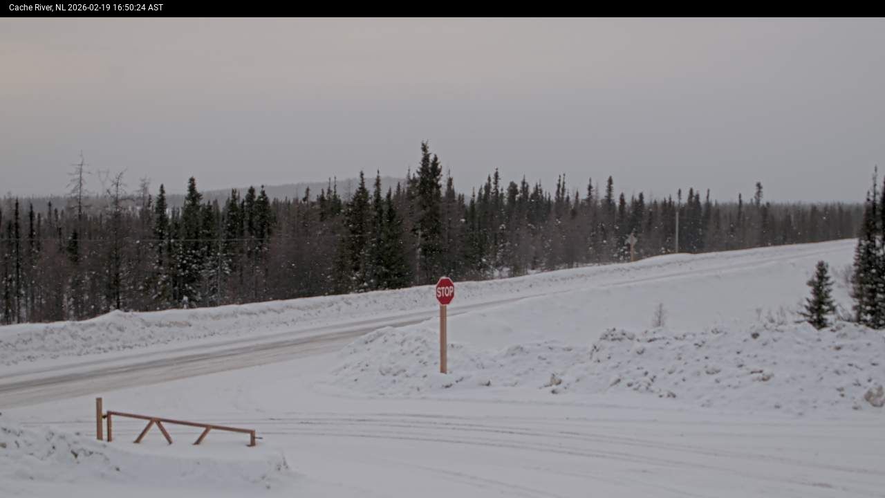 Cache River Live Camera Image