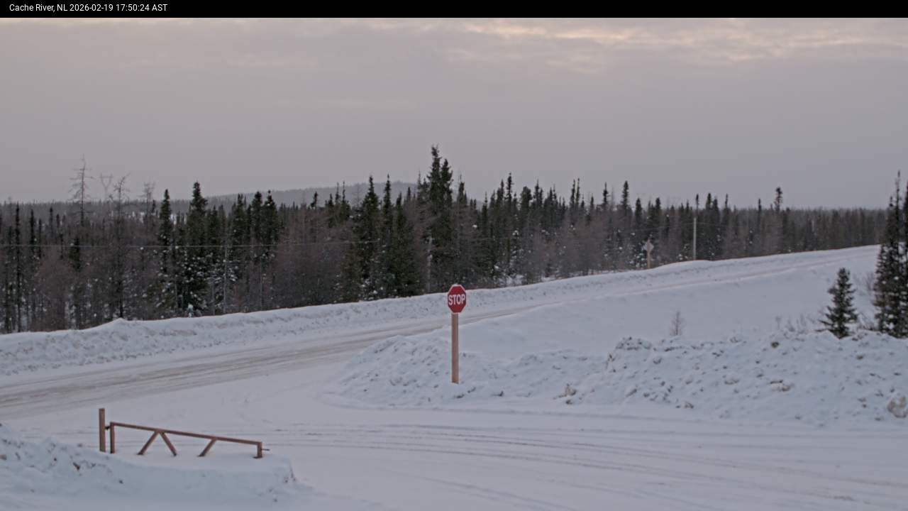 Cache River Live Camera Image