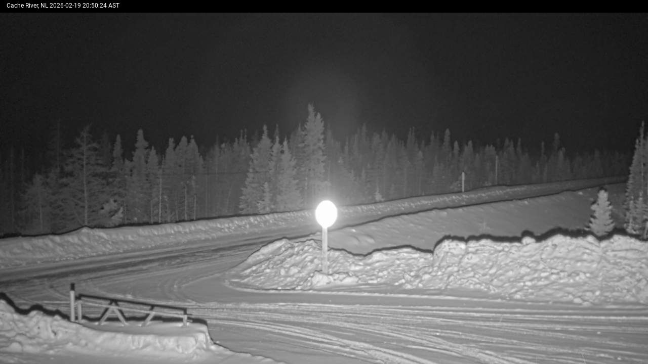 Cache River Live Camera Image