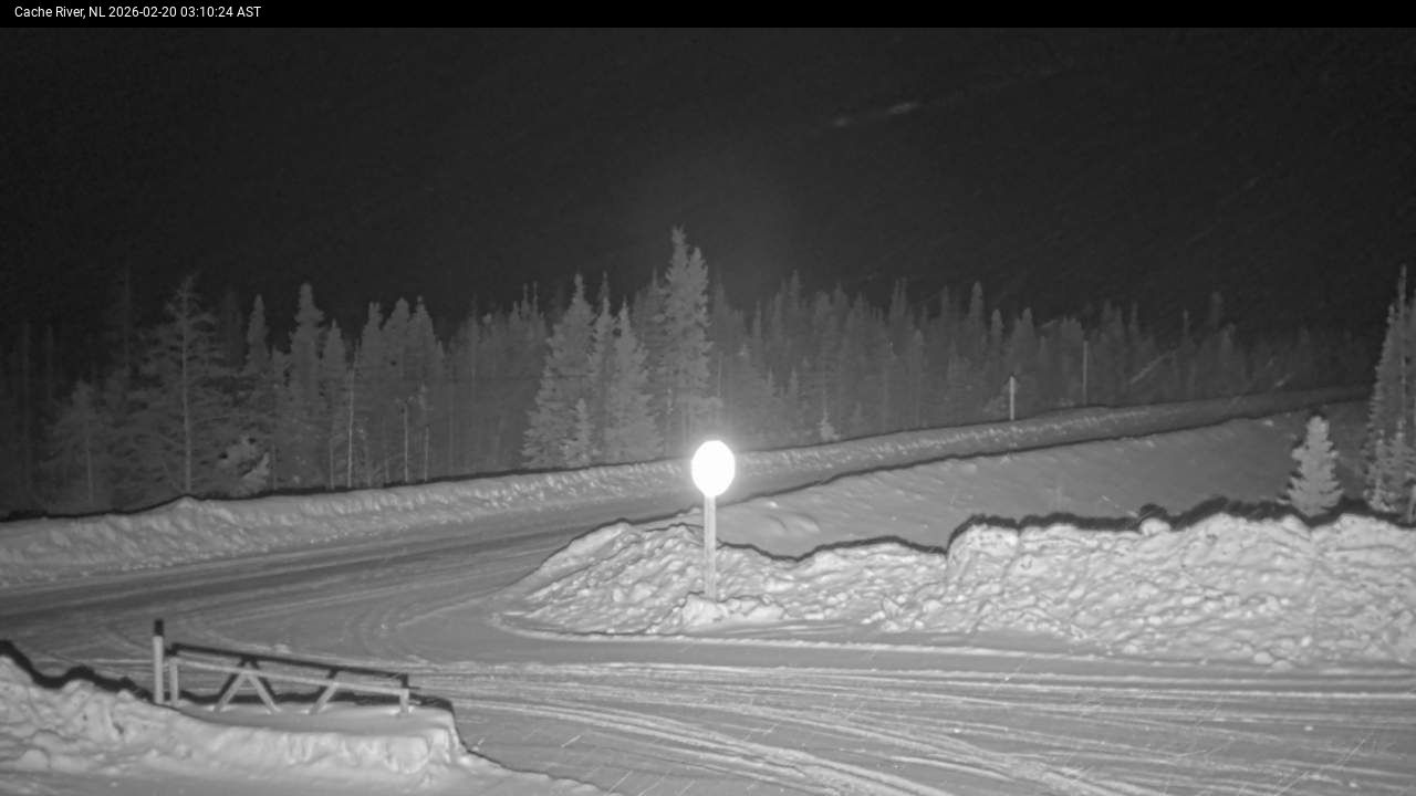 Cache River Live Camera Imagee