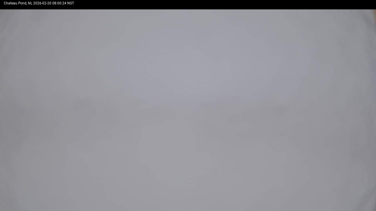 Chateau Pond Live Camera Image