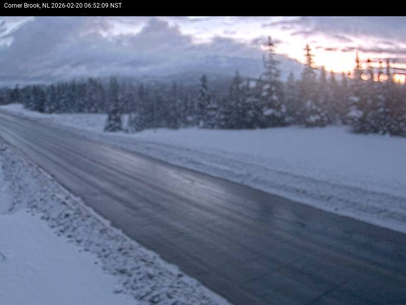 Corner Brook Live Camera Image