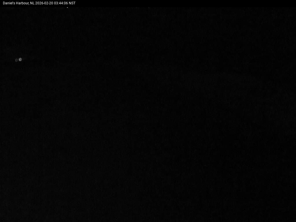 Daniel's Harbour Live Camera Image