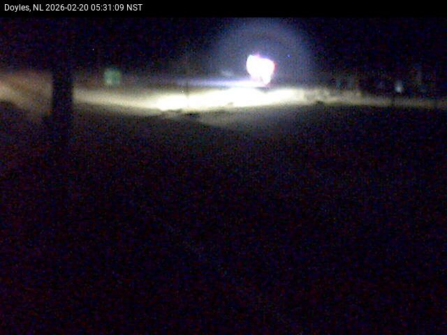 Doyles Live Camera Image