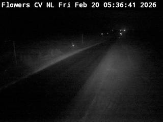 Flower's Cove Live Camera Image