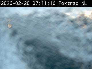 Foxtrap Live Camera Image