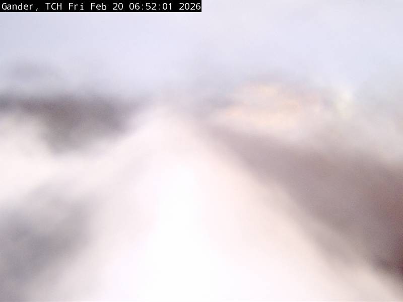 Gander Live Camera Image