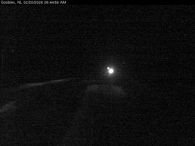 Goobies Live Camera Image