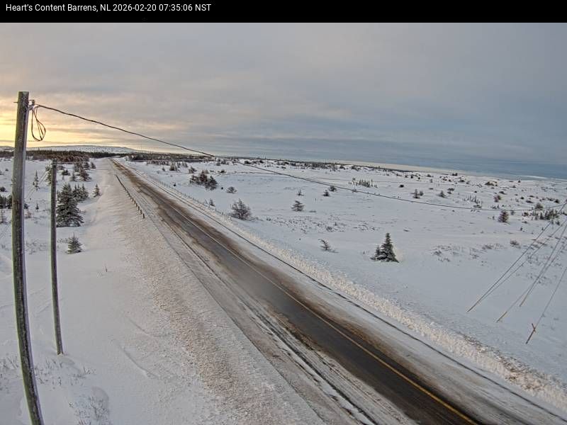 Heart's Content Barrens Live Camera Image