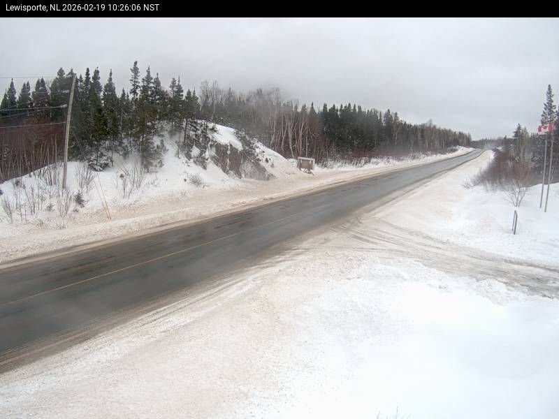 Lewisporte Live Camera Image