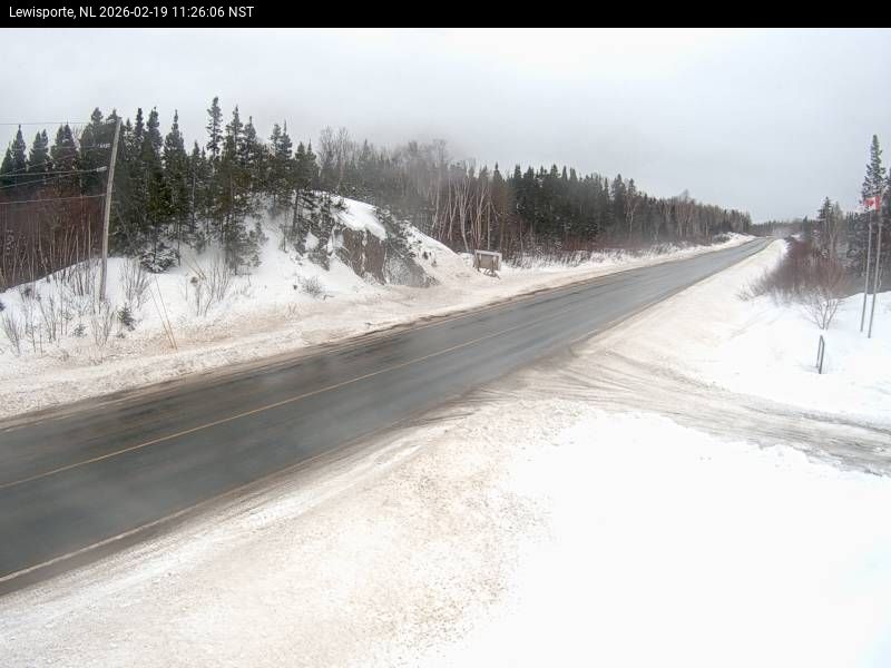 Lewisporte Live Camera Image