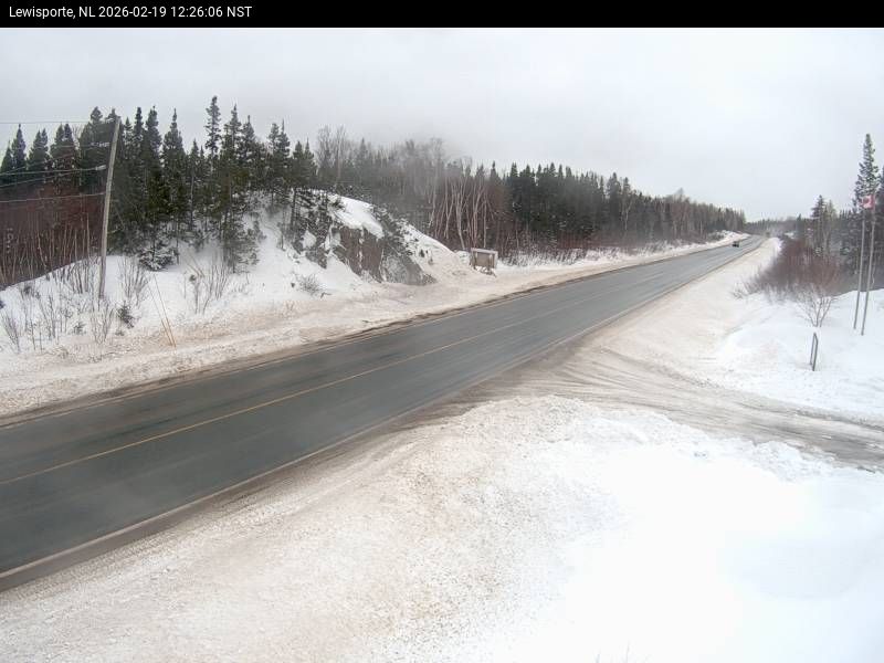 Lewisporte Live Camera Image