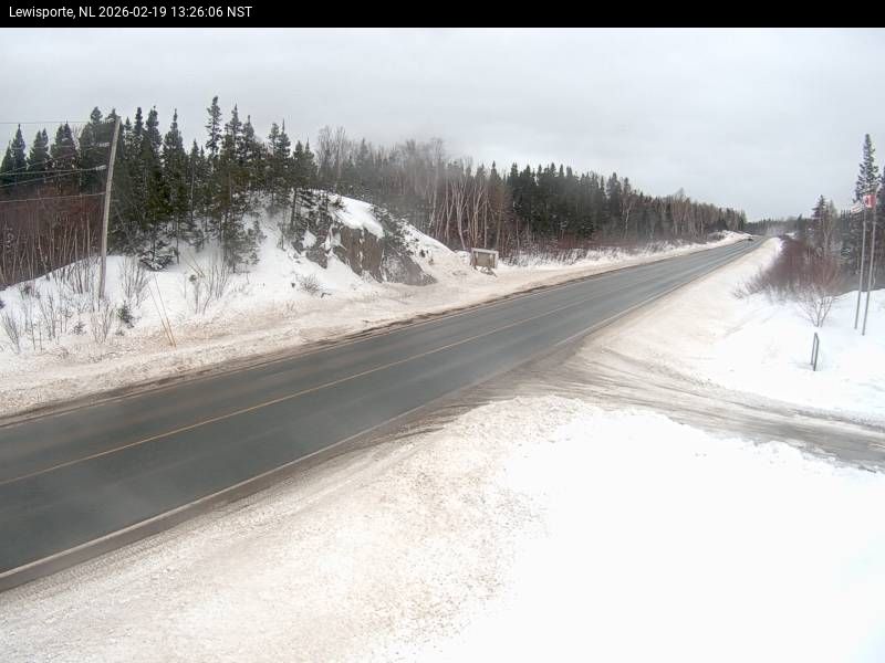 Lewisporte Live Camera Image
