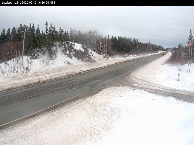 Lewisporte Live Camera Image