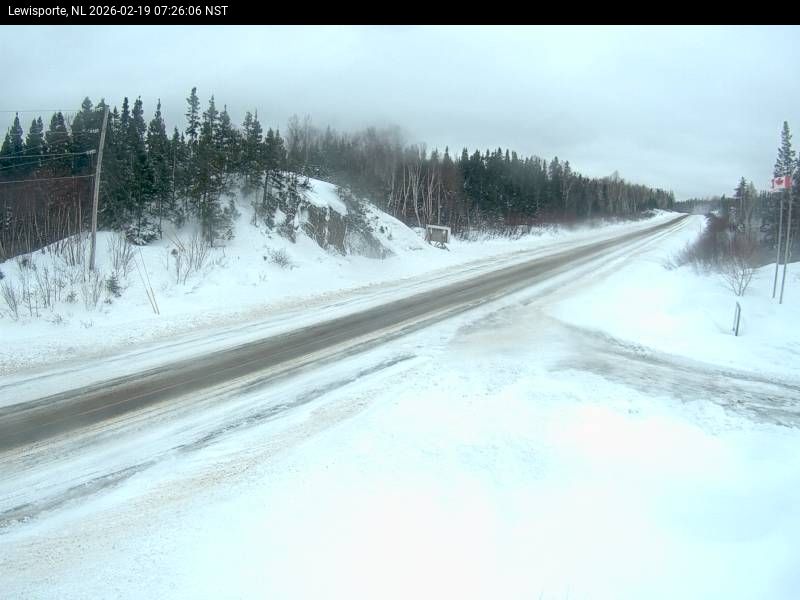 Lewisporte Live Camera Image