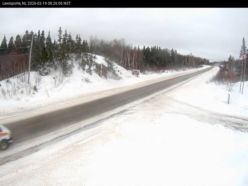Lewisporte Live Camera Image